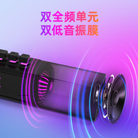 BINNIFA Play1X 蓝牙无线麦克风一体音箱
