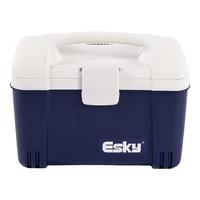 ESKY保温箱车载冰箱户外冷藏摆摊商用医用大容量便携车家两用后备箱子 【可卡冰砖】6L-PU(1*冰砖)