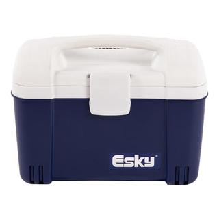 ESKY保温箱车载冰箱户外冷藏摆摊商用医用大容量便携车家两用后备箱子 【可卡冰砖】6L-PU(1*冰砖)