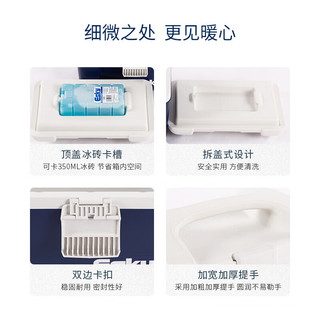 ESKY保温箱车载冰箱户外冷藏摆摊商用医用大容量便携车家两用后备箱子 【可卡冰砖】6L-PU(1*冰砖)