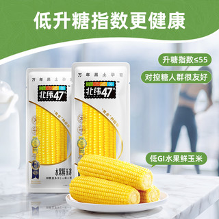 北纬47度低GI水果玉米开袋即食真空包装东北新鲜甜玉米店