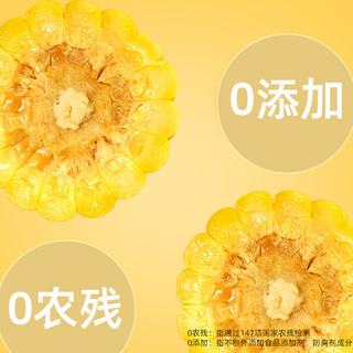 北纬47度低GI水果玉米开袋即食真空包装东北新鲜甜玉米店