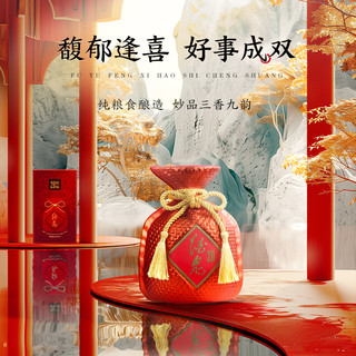  酒鬼 收藏 馥郁香型白酒  箱装，盒装 52%Vol. 500ml