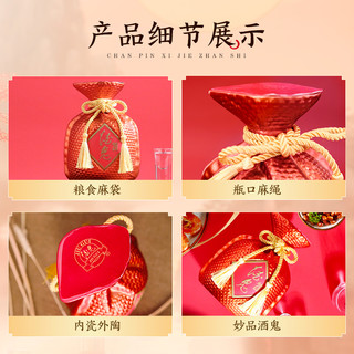  酒鬼 收藏 馥郁香型白酒  箱装，盒装 52%Vol. 500ml