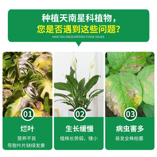  DEWODUOFEILIAO/德沃多 有机基质 园艺种植土  天南星科植物营养土15L