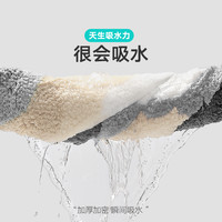 大江 DAJIANG洗手间加厚吸水地垫家用浴室卫生间门口速干脚垫卫浴防滑地毯