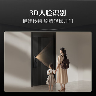 德施曼 Q2FD 3D人脸识别 星爵黑 全自动智能锁
