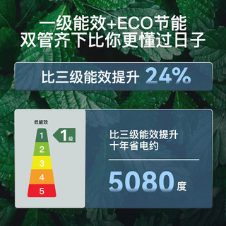  Frestec/新飞 双胆速热 电热水器  3200W 80L