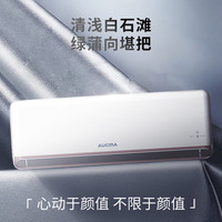 澳柯玛 独立除湿 壁挂式空调