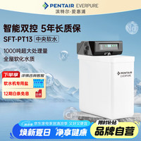 EVERPURE 爱惠浦 家用全屋厨下 软化水质  10升/分钟 1000吨制水量 中央智能软水机SFT-PT13