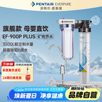 EVERPURE 爱惠浦 EF-900P 超滤净水器