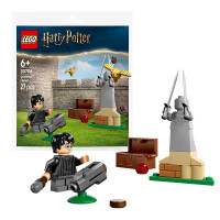 LEGO 乐高 积木30706魁地奇球赛课非卖品不可售