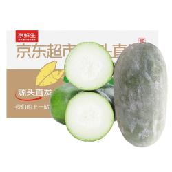 京鲜生 河南小冬瓜 净重9斤 2-3枚 水果冬瓜源头直发