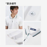 Navigare意大利小帆船男士短袖透气polo衫25夏季吸湿排汗翻领T恤衫男 冰川白 3XL