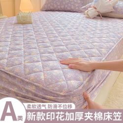 桓菲 新款印花夹棉床套 加厚防滑床罩 四季款