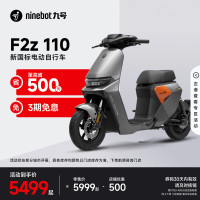 九号 远行者 F2z 110 MAX 电动自行车 TDT135Z