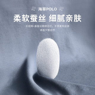 威可多（VICUTU）男Polo领商务通勤半袖VEW23263648 海草绿 185/100A  2XL (185/100A)