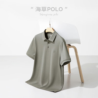 威可多（VICUTU）男Polo领商务通勤半袖VEW23263648 海草绿 170/88A  M (170/88A)