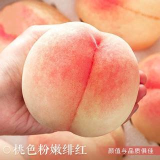 京觅 宁波奉化水蜜桃 8枚装 单果250-300g起 当季新鲜水果 源头直发 8粒装 单果5-6两