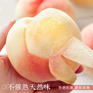 京觅 宁波奉化水蜜桃 8枚装 单果250-300g起 当季新鲜水果 源头直发 8粒装 单果5-6两