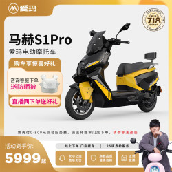 爱玛 马赫S1 电动摩托车 AM1600DT