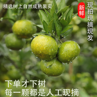 土八鲜 江西蜜橘 中果 净重4.5斤