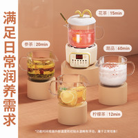 aszune 艾苏恩 电陶炉 煮茶器 机械底座+650ml玻璃杯