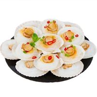 柒岛烧烤烤串半成品羊肉串新鲜5-6人半成品BBQ羊肉串淄博烤串烤肉 粉丝扇贝12个