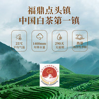 宋泰昌福鼎白茶 老寿眉茶叶特级 11年 陈年老白茶 非紧压 口粮装 【7A级典藏款】2014年老寿眉 60g