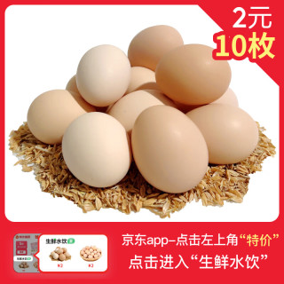 云依禾农庄 国产新鲜土鸡蛋 40g±5g/枚 10枚