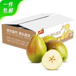 京鲜生 河北酥润香梨 净重9斤 单果120g+