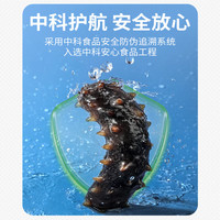 头号海即食正宗大连野生底播辽刺参孕妇术后营养可装礼盒 辽参爆款1kg