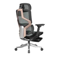 ENOVA 自由家大师版 人体工学椅电脑椅人工力学座椅久坐办公椅电竞椅