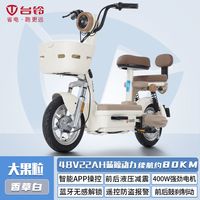 台铃电动车48V22A新国标电动自行车长续航小型代步成人两轮电瓶车