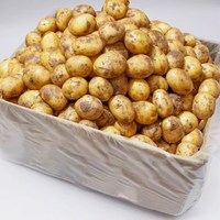 京榴香国产土豆 新鲜蔬菜生鲜 土豆200g/赠送250g/合发450g