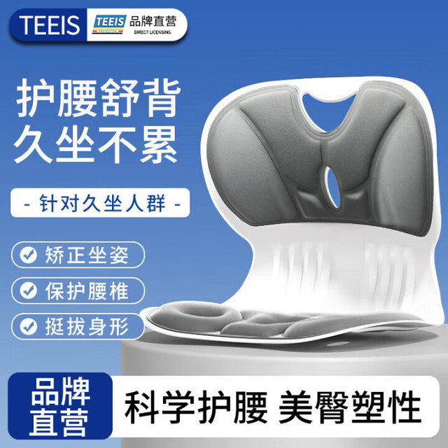 TEEIS 德国护腰坐垫办公室座椅靠垫支撑久坐人体工学靠背坐姿椅 护腰坐垫 护腰丨护脊