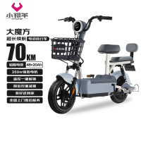 今日必买：小羚羊 电动自行车大魔方天能/超威铅酸48V20AH续航70km免费送装上门源彩灰