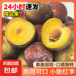 京喜自营-专用品牌 四川小脆红李 青红脆李 单果15g+ 带箱2斤