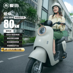 爱玛 爱朵 48V24Ah锂电长续航豪华复古电动车 TDR4245Z