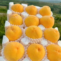 初石 CHUSHI 顺丰 山东蒙阴 大黄桃 黄金桃 2.25斤（6-8个）
