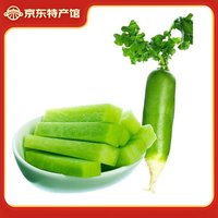 移动端、京东百亿补贴：鸢语 山东潍坊 青萝卜 2.5kg