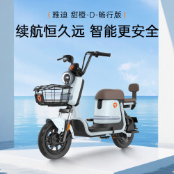 雅迪 甜橙 48v24a星恒锂电 积木蓝