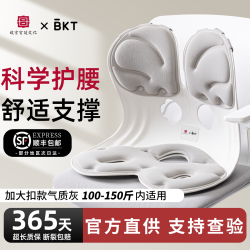 美凯腾 护腰坐垫