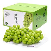 旭霁 阳光玫瑰葡萄水果云南晴王香印提子礼盒装 净重5-4斤精品果 单粒8-14g