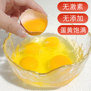  云依禾农庄 新鲜现捡 鲜鸡蛋