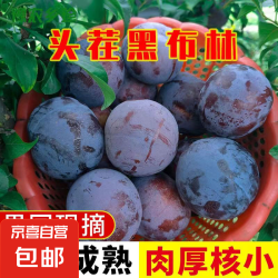 京喜自营-专用品牌 新鲜黑布林李子 中果 1斤 酸甜多汁