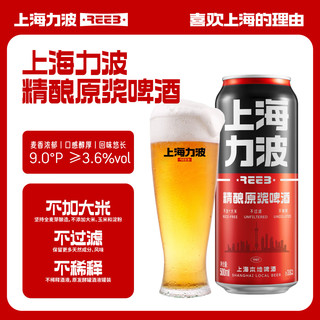  力波啤酒;REEB;R 全麦芽 精酿啤酒  红力波罐 500mL 6罐 组合装 红力波罐 整箱装
