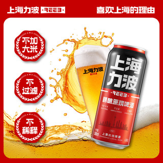  力波啤酒;REEB;R 全麦芽 精酿啤酒  红力波罐 500mL 6罐 组合装 红力波罐 整箱装