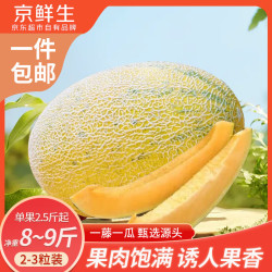 京鲜生 新疆86王八六王蜜瓜 单果2.5斤起 净重8-9斤 2-3粒装 源头直发