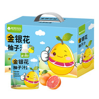 金银花柚子汁饮品儿童成人下火植物饮料店0脂豆芽礼盒装 礼盒装1提【100ml/包*12包】金银花柚子汁